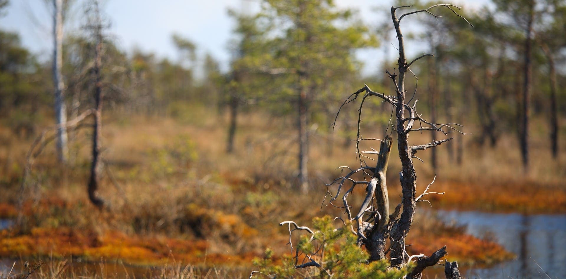 Banner postagem: Guia de Comandos do Git Banner postagem: Guia de Comandos do Git